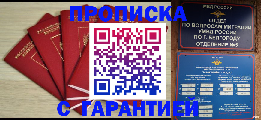 миграционный учет в Шлиссельбурге